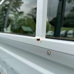 7a339541-f5e8-42cc-8087-ae81f626996e