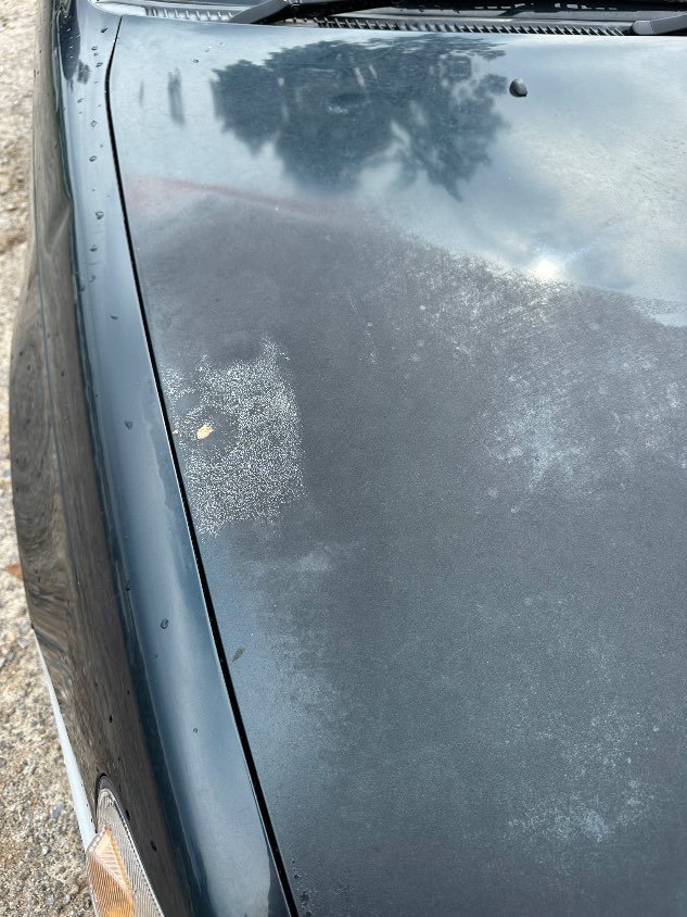 1995 Toyota Corolla Wagon - Image 6